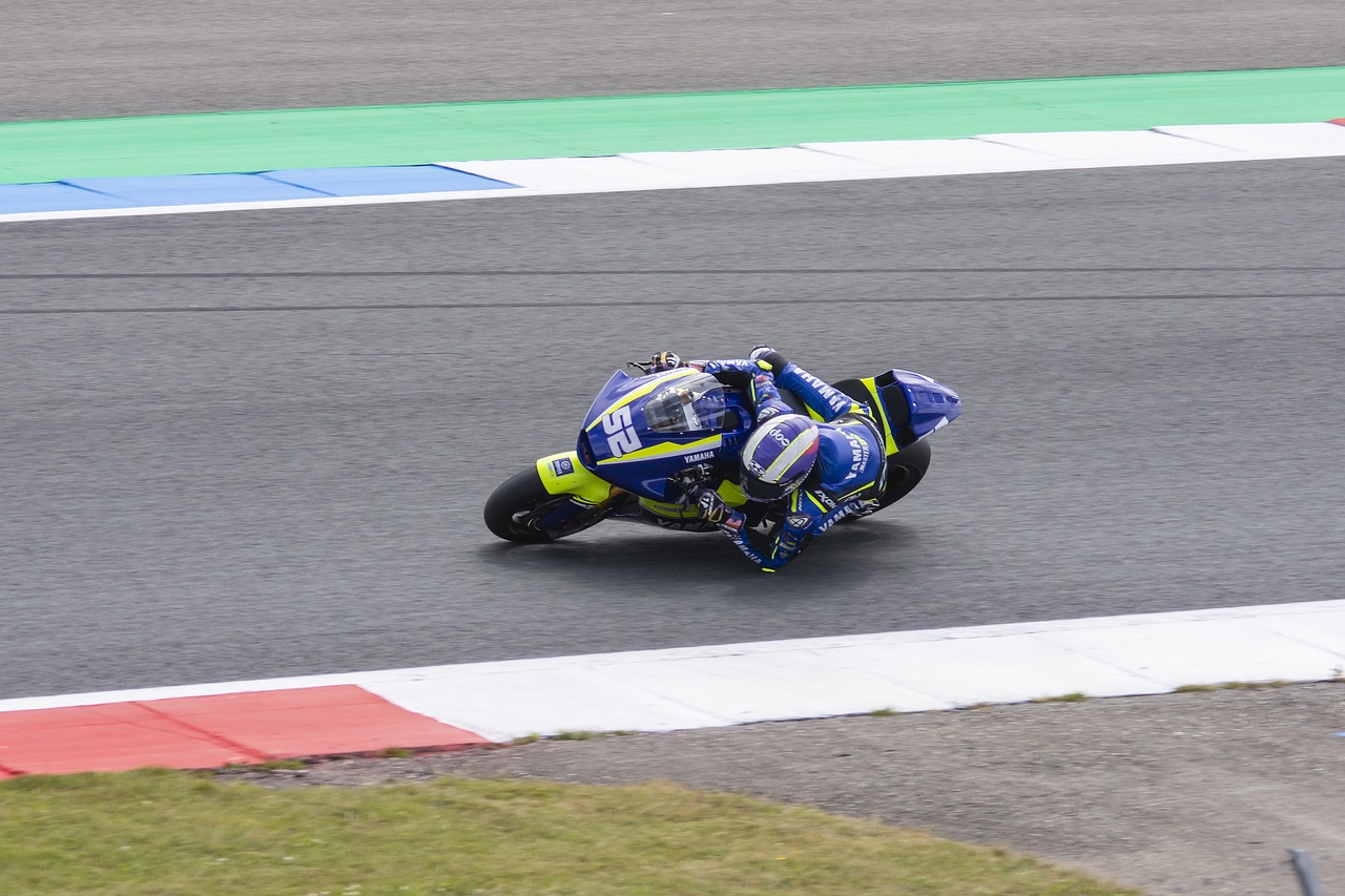 了全队的综 了全队的综