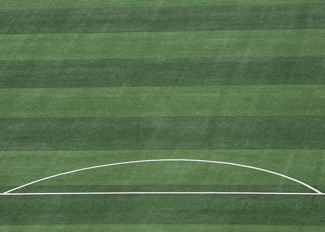 半决赛中的 半决赛中的