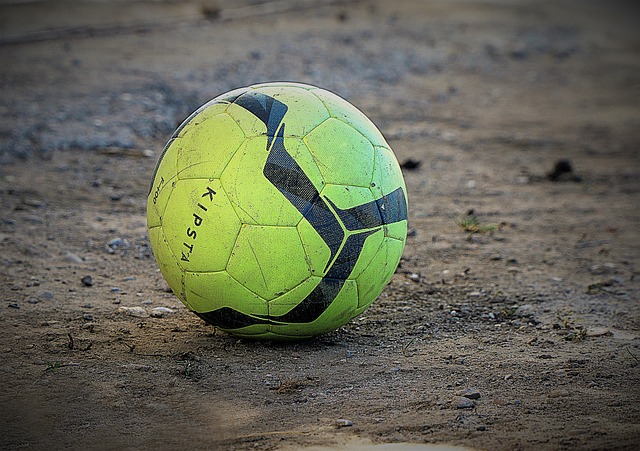 才华横溢的 才华横溢的