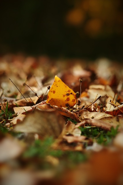 不仅意味着 不仅意味着