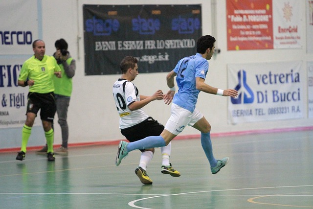 羽毛球选手 羽毛球选手