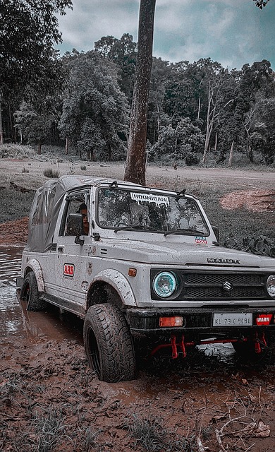 的掌控之中 的掌控之中