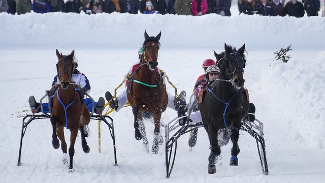 定的运动时 定的运动时