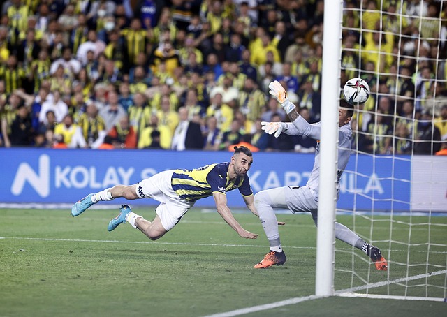 阿倫的融入 阿倫的融入